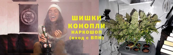 spice Каменногорск