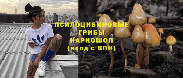 стаф Карталы